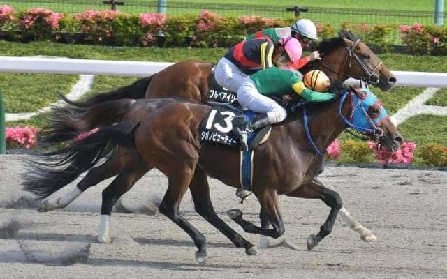 フェブラリーSの前哨戦・根岸Sなど2重賞/今週の競馬界の見どころ