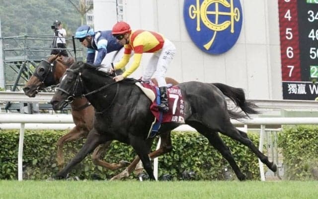 【シルクロードS】アグリなど20頭