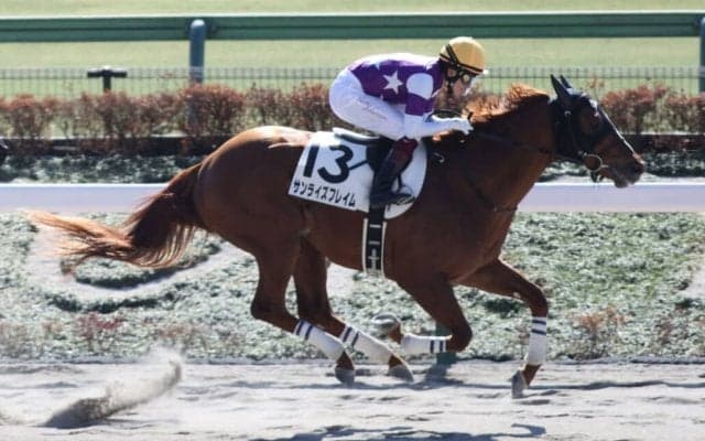 【根岸S登録馬】サンライズフレイムなど19頭