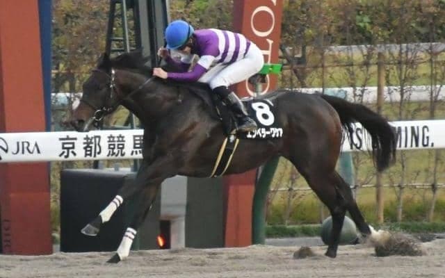 【根岸S見どころ】エンペラーワケアの重賞初挑戦で重賞初制覇なるか