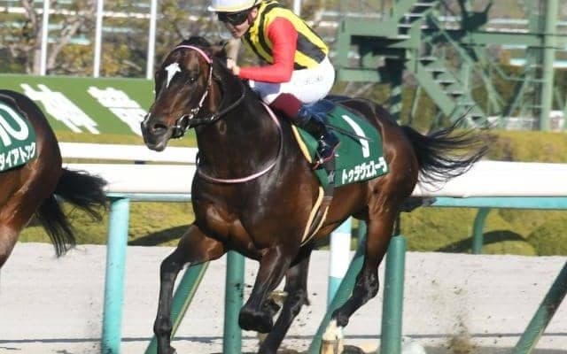 【シルクロードS見どころ】9歳馬トゥラヴェスーラの初重賞制覇なるか