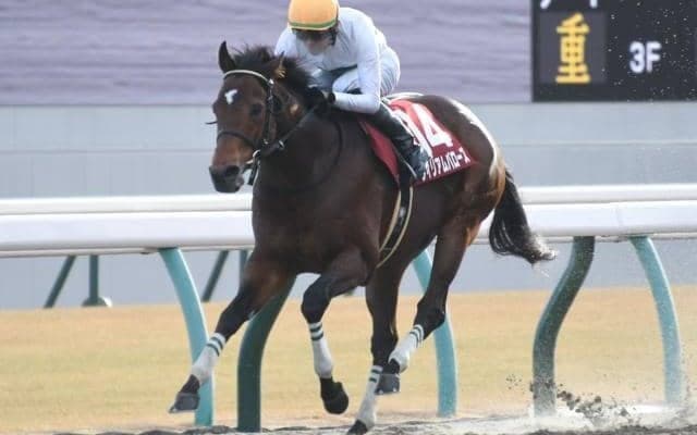 【東海S】売上は58億9066万6500円で昨年より約2.8億円増加