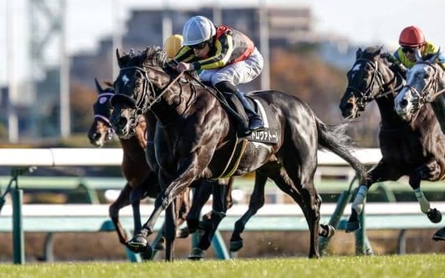 「エフフォーリアのような活躍も」キャプテン渡辺らが24年注目する3歳馬とは？