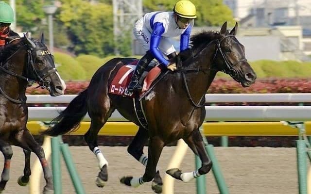 【先週のJRA抹消馬】22年の青葉賞2着馬ロードレゼル、ダート中距離戦で活躍したカラフルキューブなど