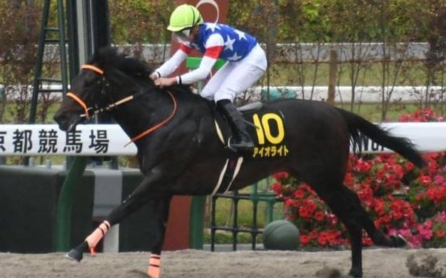 【AI予想・根岸S】穴馬3頭が◎候補で波乱の予感 前走のレース格と距離は要チェック！