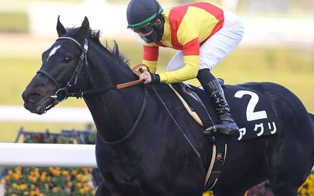 【シルクロードS想定騎手】アグリは坂井瑠星騎手、ルガルは西村淳也騎手