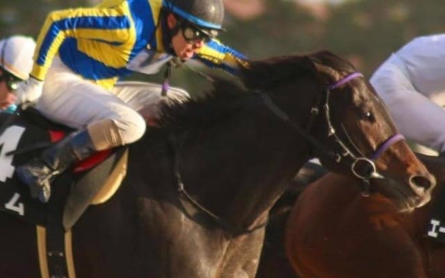 23年複勝回収率はJRA所属騎手トップの173％！ “穴男”水口優也騎手が重賞初Vへ根岸S参戦