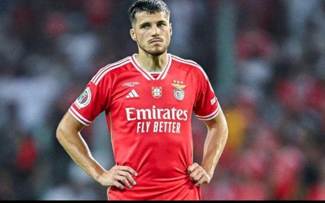 ホッフェンハイム、ベンフィカからチェコ代表DFユラセクをレンタルで獲得