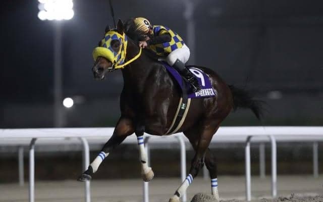【大井・金盃枠順】3連勝中のアンタンスルフレは6枠11番