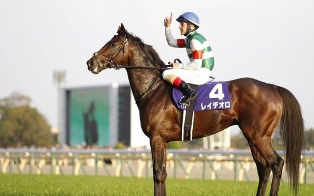 JRAで驚異の勝ち上がり率誇った名種牡馬 シーキングザゴールドを解説