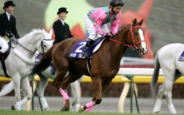 “ナカノコール”や“ゴリラ写真集を出版したトレーナー” 2月で定年迎える関東の調教師3名を振り返る