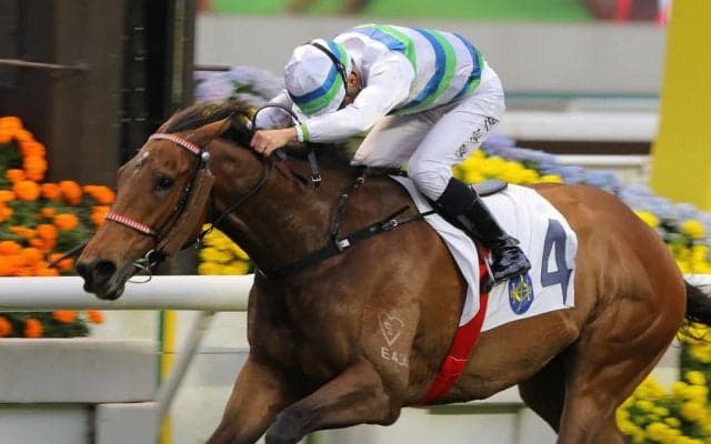 ドウデュース出走のドバイターフに香港の“超新星”が参戦か　「ゴールデンシックスティの後継候補」と脚光