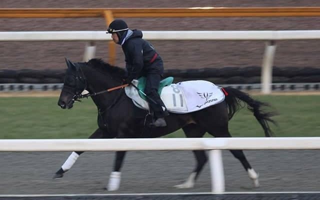 サンライズロナウドなど、先週の入厩情報/栗東トレセンニュース