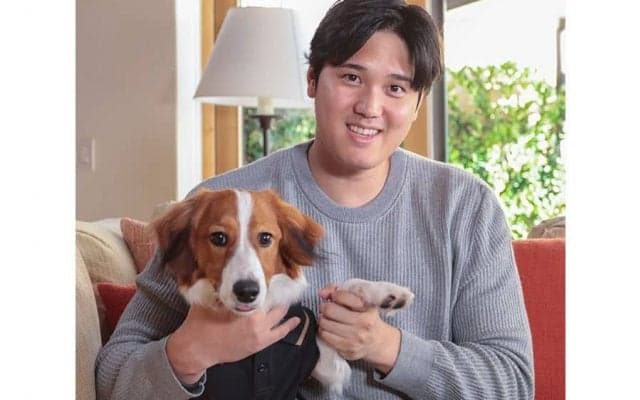 デコピンだけで売上50倍…大谷翔平は愛犬も異次元の経済効果　担当者は“悲鳴”