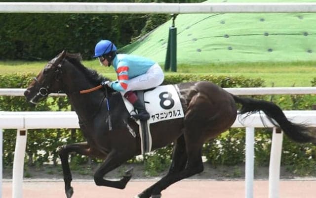 24年活躍期待の古馬は？ 競馬好き芸人が“バケモノ”と表現したダート馬とは