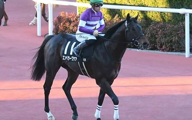 【根岸S予想オッズ】エンペラーワケアが予想1番人気