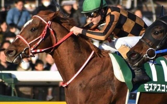 根岸Sでダートに初挑戦した馬を回想 モズアスコットにロゴタイプなどGI馬も多数