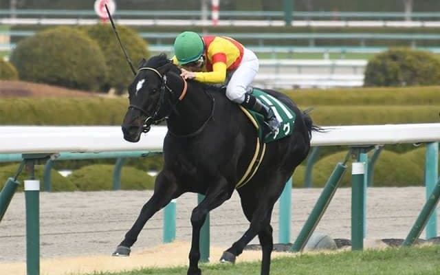 【シルクロードS予想オッズ】アグリが予想1番人気