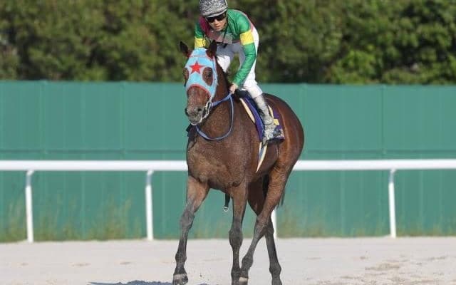 【根岸S展望】好走条件揃う7歳馬タガノビューティーの重賞初制覇を期待