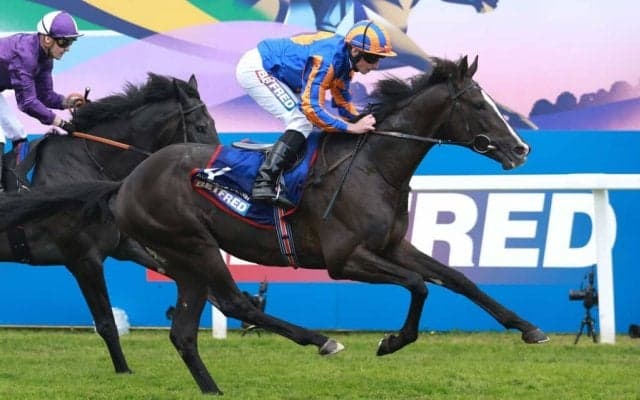 ディープ産駒オーギュストロダン、ドバイシーマクラシックが視野　牝馬三冠リバティアイランドら日本馬と激突か