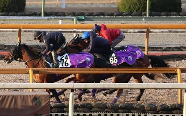 シヴァースなど、きさらぎ賞1週前追い切り速報/栗東トレセンニュース