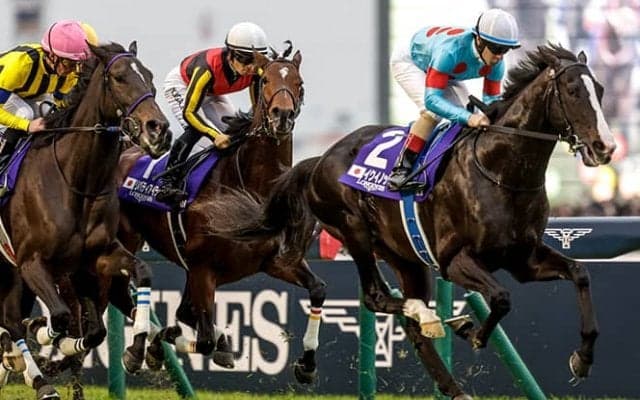 ジャパンCが23年の「ワールドベストレース」に 世界のトップ100GI発表