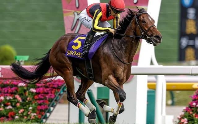 3歳芝トップはリバティアイランドでレーティング121 2023年度JPNサラブレッドランキング発表