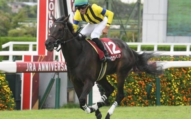 【東京新聞杯想定】マスクトディーヴァ、ジャスティンカフェなど20頭