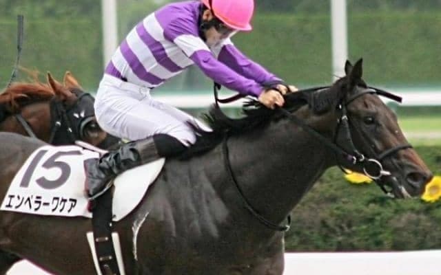 前走条件クラス組から23年ぶりの覇者へ ダート転向後5戦4勝の実力者が根岸S参戦