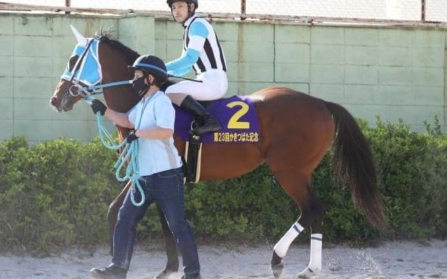 【根岸S予想】超人気薄なら面白い！ AIが推奨した“穴馬”をデータ面から徹底分析