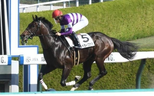 【根岸S出走馬・騎手確定】エンペラーワケア＆川田将雅騎手、サンライズフレイム＆藤岡康太騎手など16頭