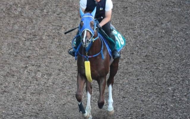 ナイスネイチャの近親ライスネイチャ 仕切り直しの一戦でデビューVなるか