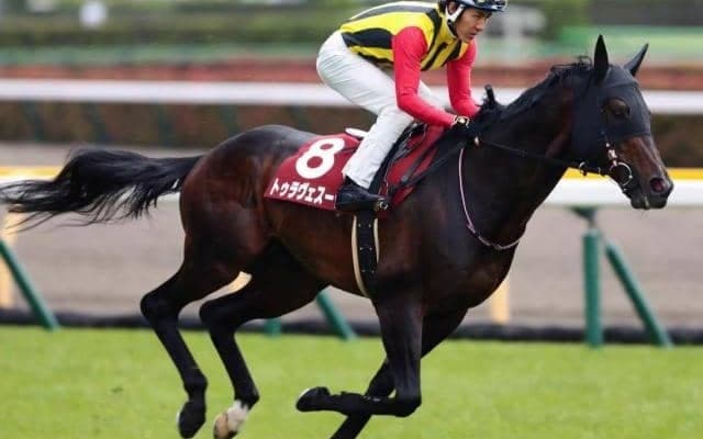 永島まなみ騎手が自厩舎の9歳馬とコンビ結成 シルクロードSで人馬ともに重賞初Vなるか