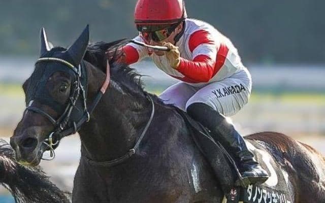 セレクト2億超えの超良血馬 クロッカスSで巻き返しVなるか