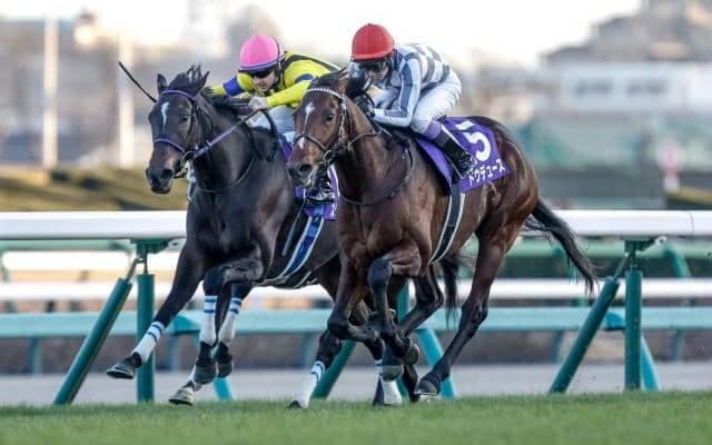 2500人が選んだ23年“神騎乗”トップ5 武豊騎手が導いた復活劇に「ドラマがあった」