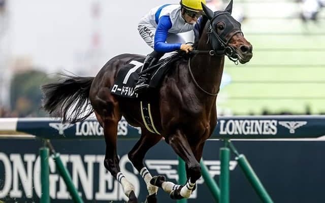 【今日の注目ポイント】開幕週の東京競馬で白富士S・クロッカスS