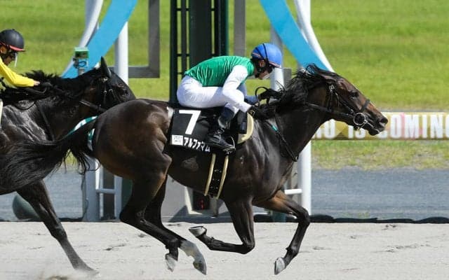 根岸Ｓは明け４歳馬に人気が集まるも、馬券的には時計面で実績ある５歳馬に妙味あり