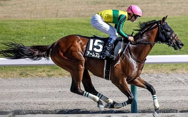 【根岸S予想】勢いよりも距離適性!? スピードだけでは押し切れない府中のダート1400m