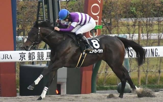 【根岸S前日オッズ】エンペラーワケアが3.2倍で1番人気
