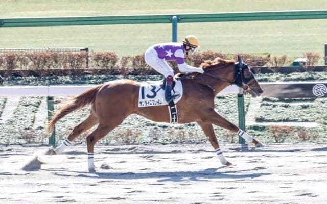 【今日の注目ポイント】東京で根岸Sと京都でシルクロードSの2重賞