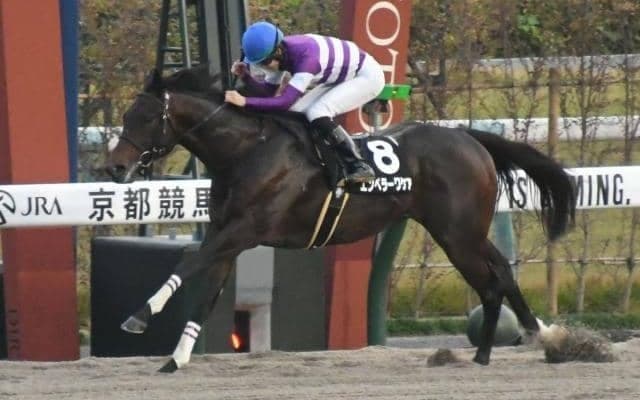 【根岸S予想】フェブラリーSとの関連性が強いレース 昨年覇者レモンポップに続くのは？