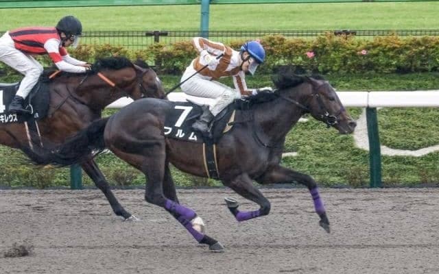 東京ダートは差しが決まる 穴党はフルム＆ベルダーイメルに注目