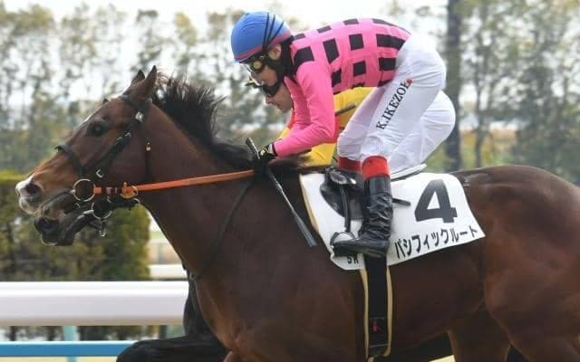 【京都5R新馬戦結果】ロードカナロア産駒パシフィックルートが競り合いを制す