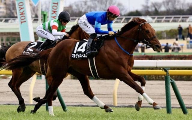 【節分S】クルゼイロドスルが人気に応える