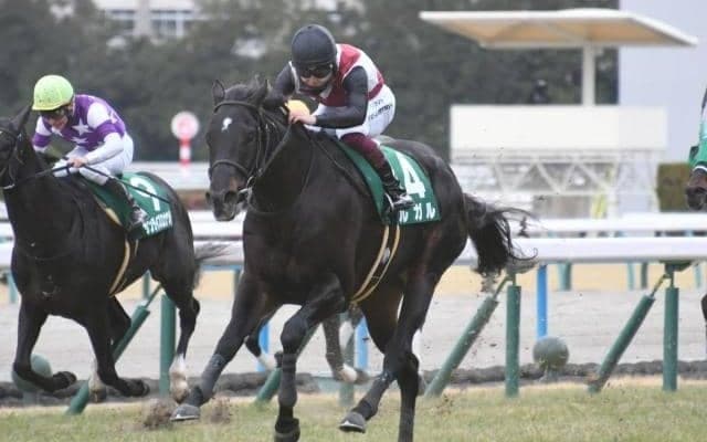 【JRA・WIN5】本日のWIN5は的中1391票、配当34万7220円