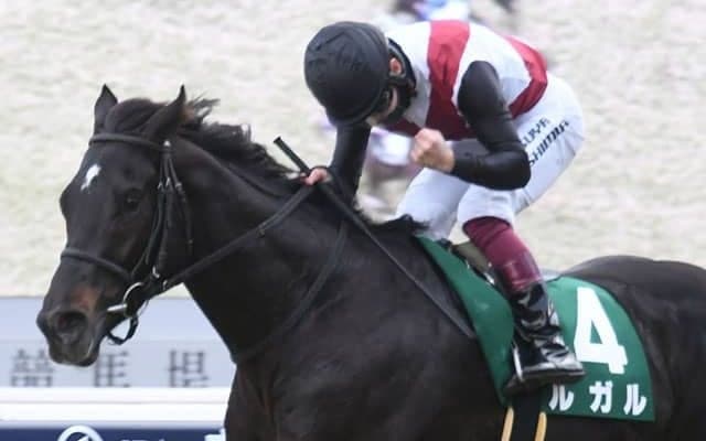【シルクロードS結果】ルガルが3馬身差完勝で重賞初制覇
