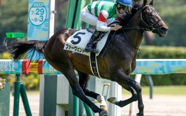 【きさらぎ賞】ファーヴェント、ヴェロキラプトルらが登録