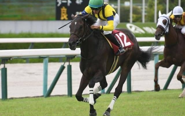 【東京新聞杯】マスクトディーヴァ、ジャスティンカフェらが登録