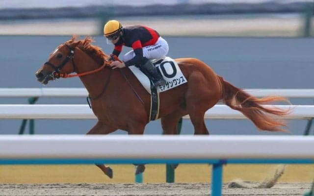 【京都4R】モアザンワンスが人気に応える