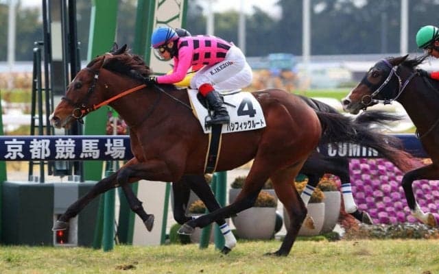 【新馬/京都5R】良血パシフィックルートがデビューV…母はファンディーナ